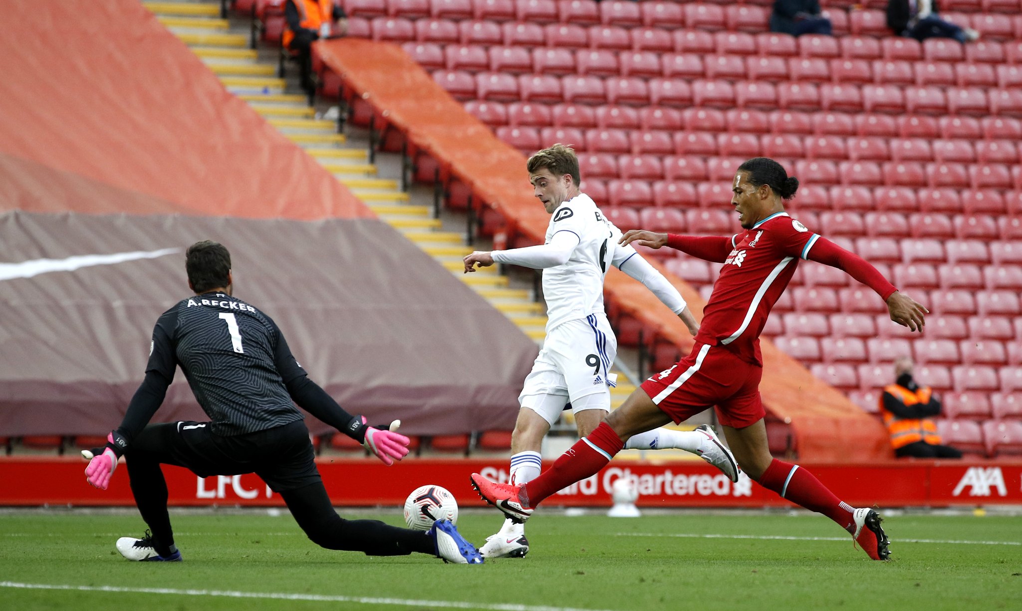 帕利尼亚因 帕利尼亚因