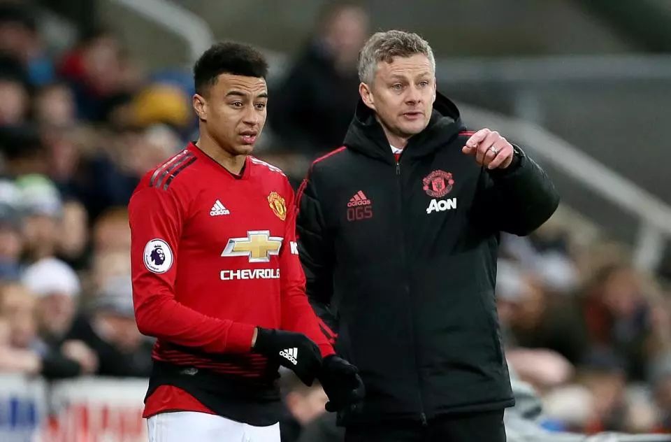 的前锋哈里 的前锋哈里