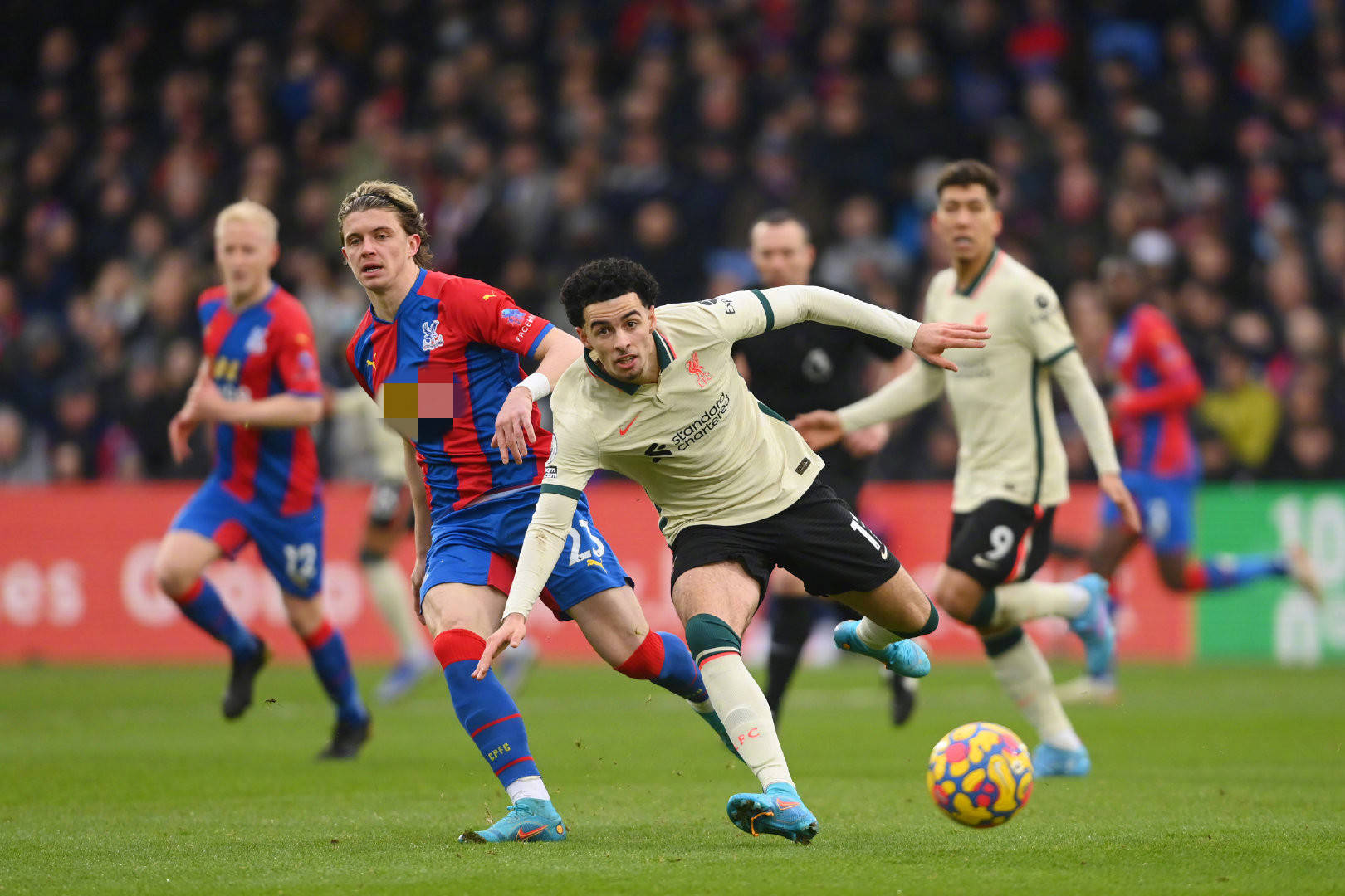 蒋圣龙赢下 蒋圣龙赢下