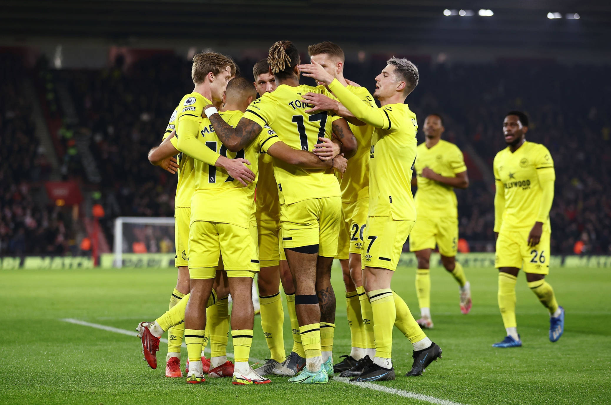 同类伤病对 同类伤病对